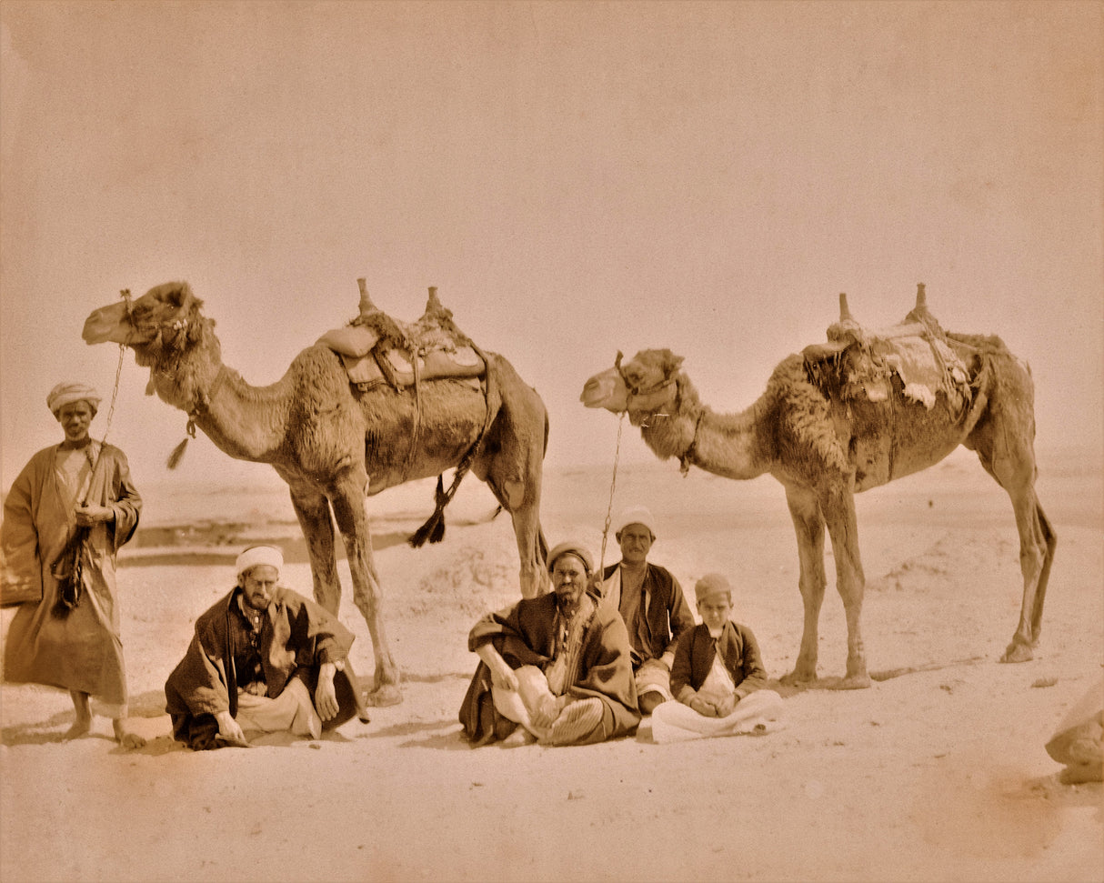 Sepia photograph of camel handlers and camels resting in a desert landscape, Egypt, late 1800s