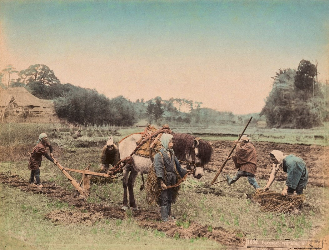 Traditional Japanese Farming, Meiji era (1868-1913)