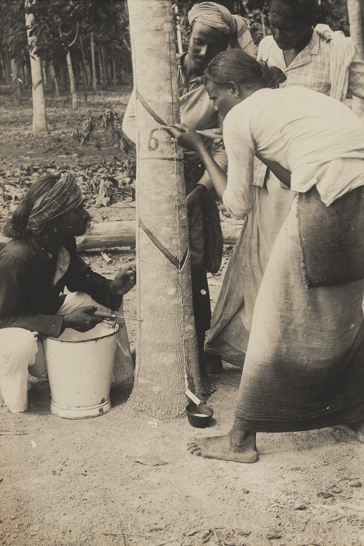 Early 1900s photo of plantation workers in Ceylon learning rubber tapping techniques