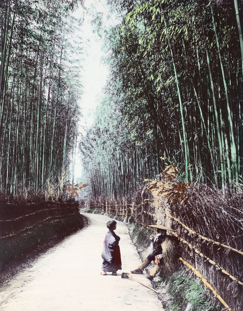Hand-colored vintage photograph of a bamboo forest path in Japan with two figures on a winding trail, Meiji era