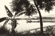 Sepia photograph of a bridge crossing a wide tropical river with banana trees in foreground, Indochina, 1940s