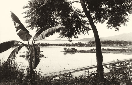 Sepia photograph of a bridge crossing a wide tropical river with banana trees in foreground, Indochina, 1940s