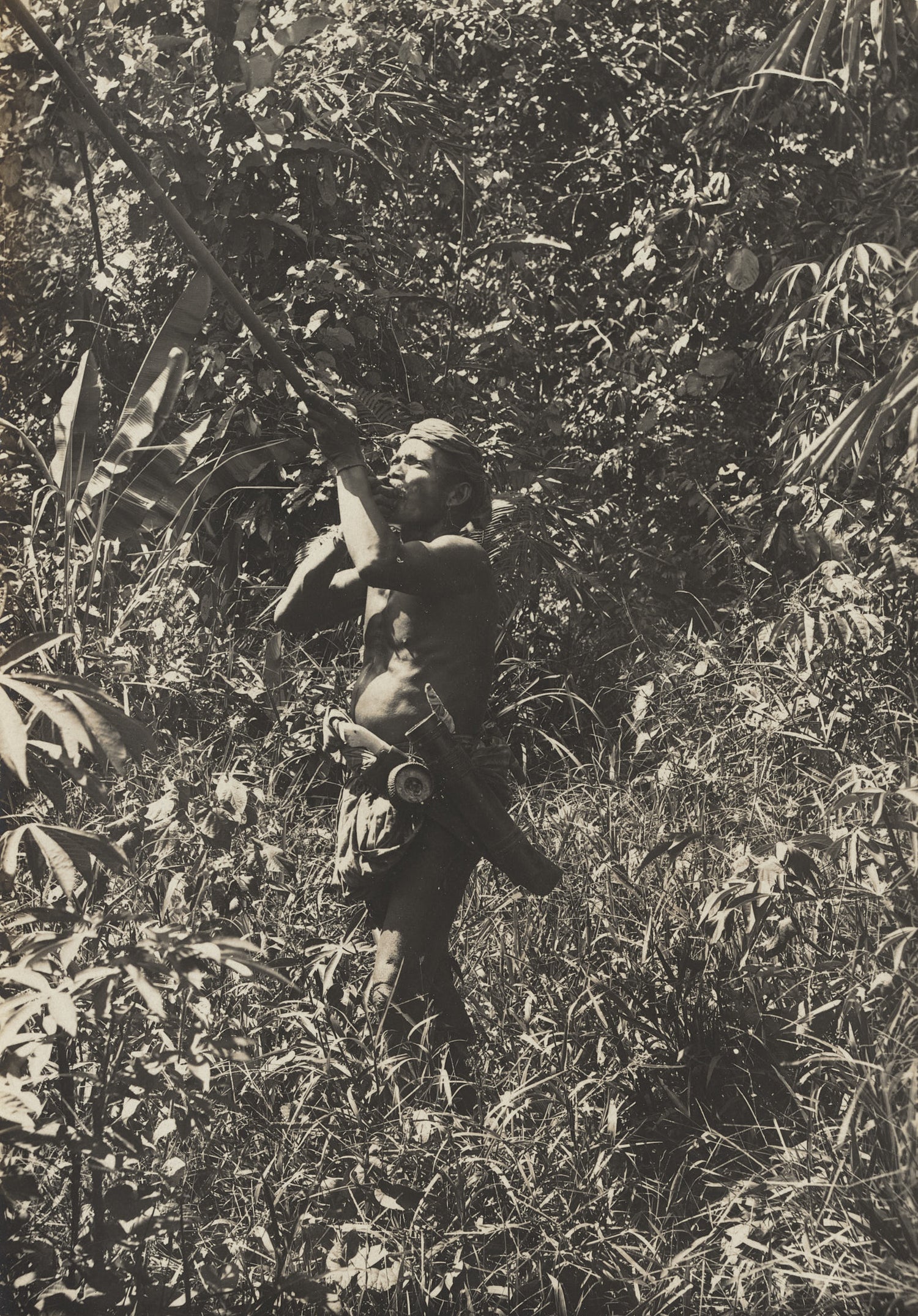 Black-and-white photo of a Dayak man in Borneo aiming a blowgun in the rainforest