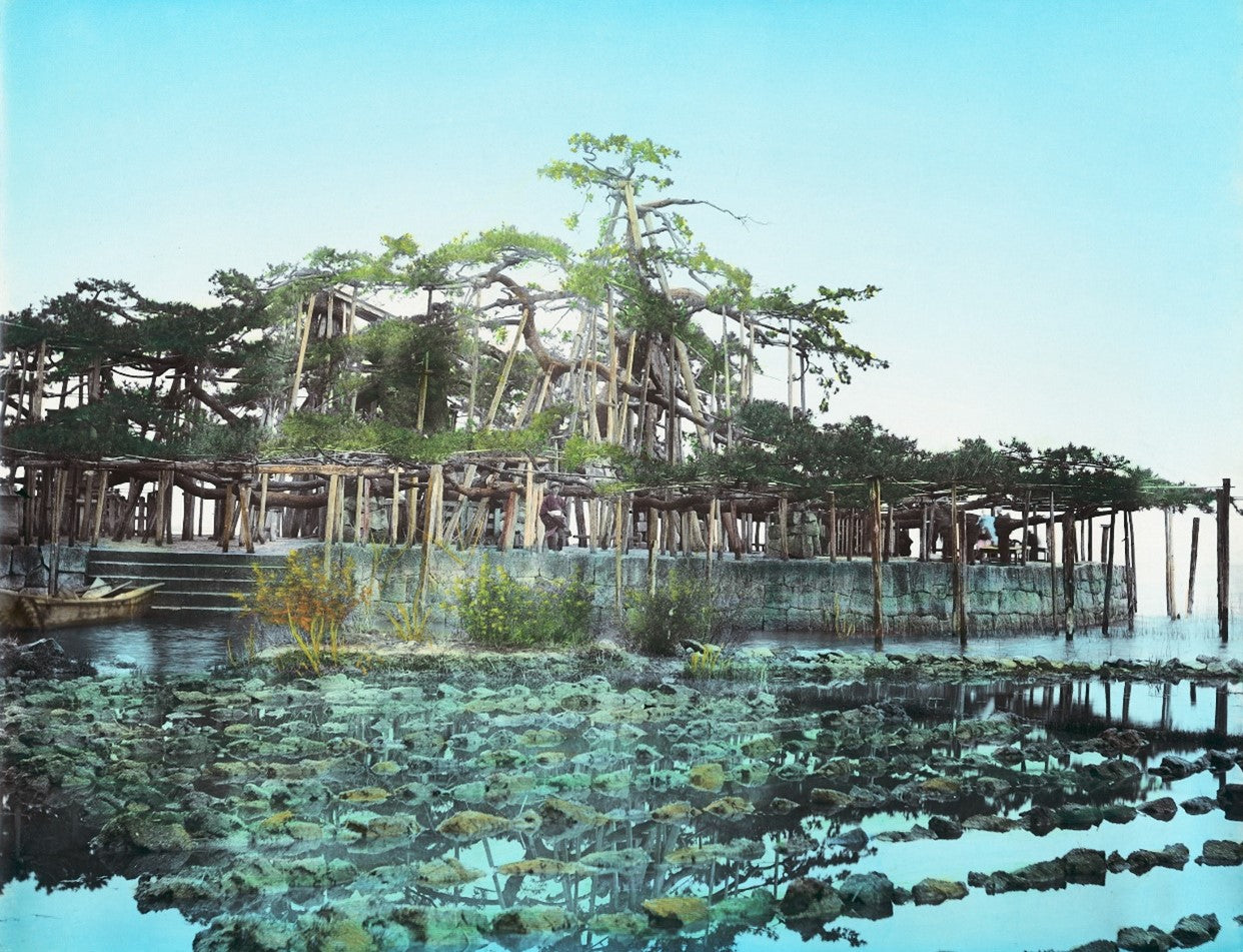 Hand-colored Meiji-era photograph of a Japanese wooden pavilion over water with trees and reflections