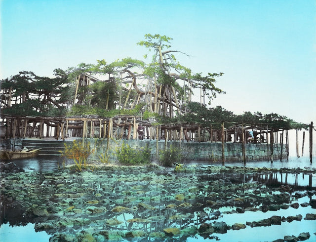 Hand-colored Meiji-era photograph of a Japanese wooden pavilion over water with trees and reflections