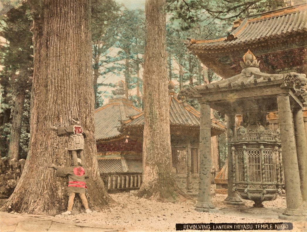 Hand-colored photo of revolving lantern and giant cryptomeria trees at Nikko Toshogu Shrine, Meiji Japan