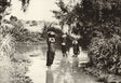 Sepia photo of three Southeast Asian women wading in a river with clay pots, surrounded by tropical foliage
