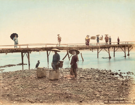 Hand-colored Meiji-era photograph of cormorant fishermen on the Tamagawa River with a wooden bridge and villagers in the background, Japan